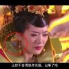 曾道长资料大全正版下载安装